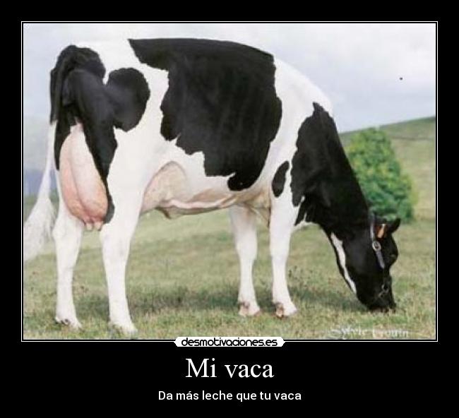 Mi vaca - Da más leche que tu vaca