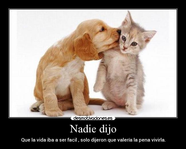 Nadie dijo - 