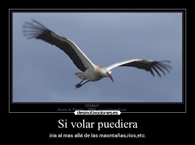 carteles vola desmotivaciones