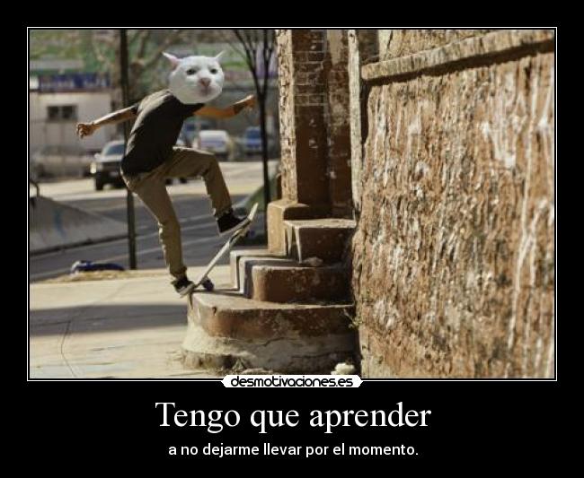 carteles otro los top carteles skaters los que sale walt haciendo tonto molaxd desmotivaciones