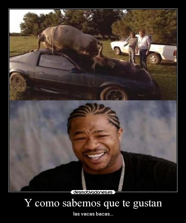Y como sabemos que te gustan - las vacas bacas...