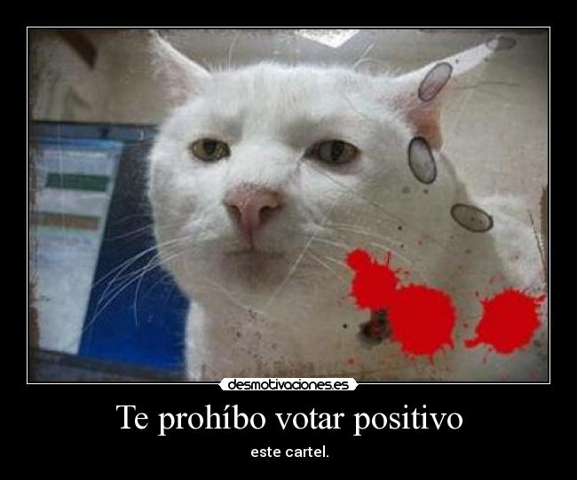 Te prohíbo votar positivo - este cartel.