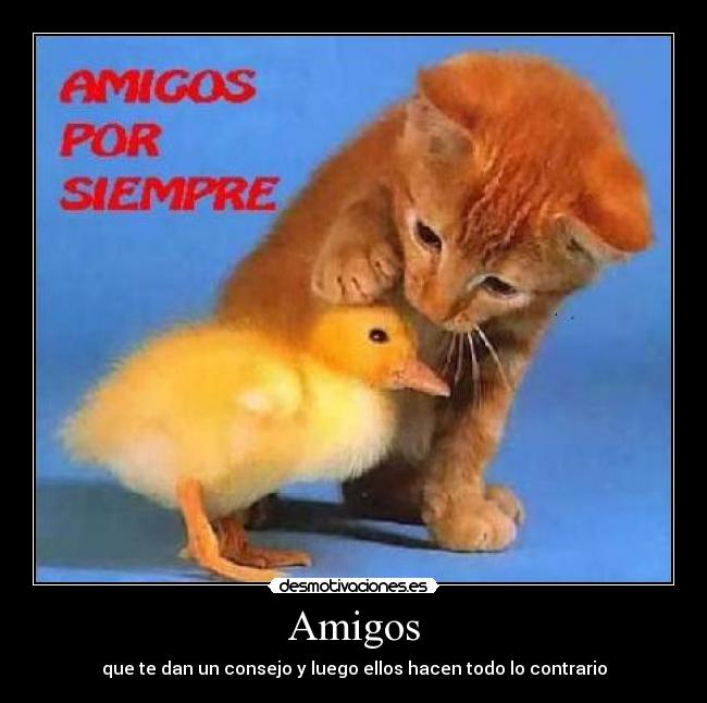 Amigos - que te dan un consejo y luego ellos hacen todo lo contrario