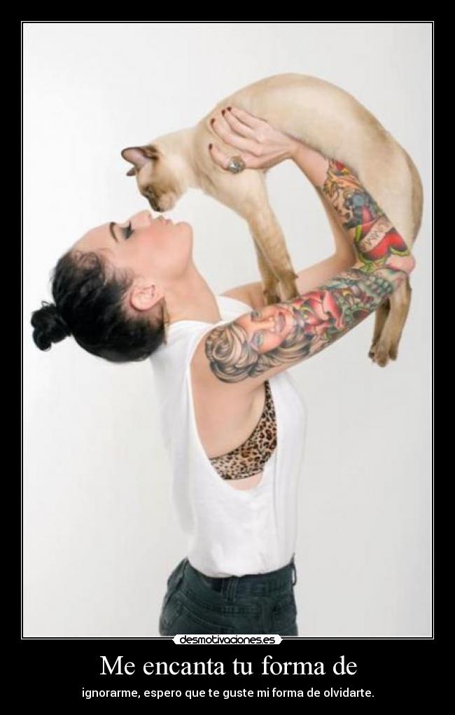 Me encanta tu forma de - ignorarme, espero que te guste mi forma de olvidarte.