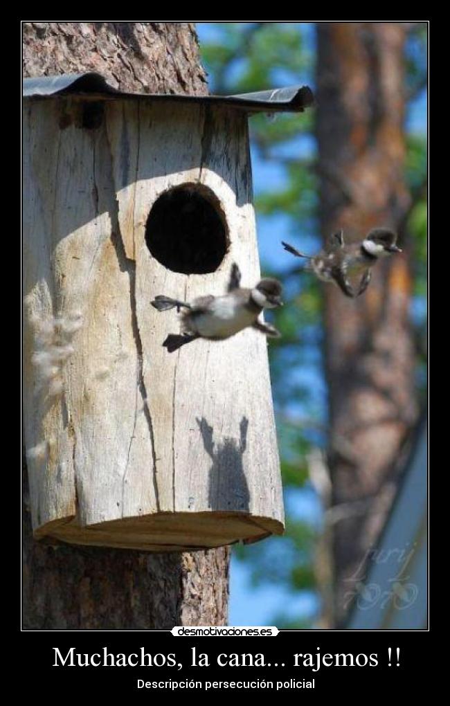 Muchachos, la cana... rajemos !! - Descripción persecución policial