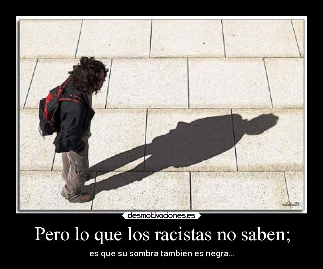 carteles racistas desmotivaciones