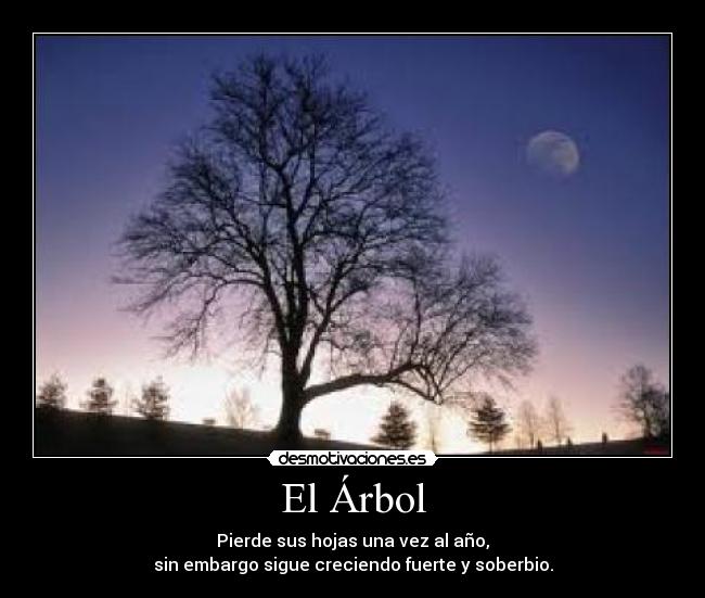 El Árbol - Pierde sus hojas una vez al año,
sin embargo sigue creciendo fuerte y soberbio.