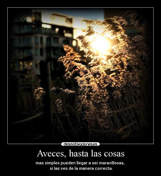 carteles cosas simples naturaleza maravillas correcta manera ver las cosas desmotivaciones