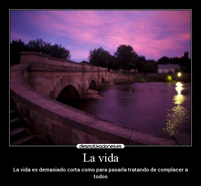 La vida -