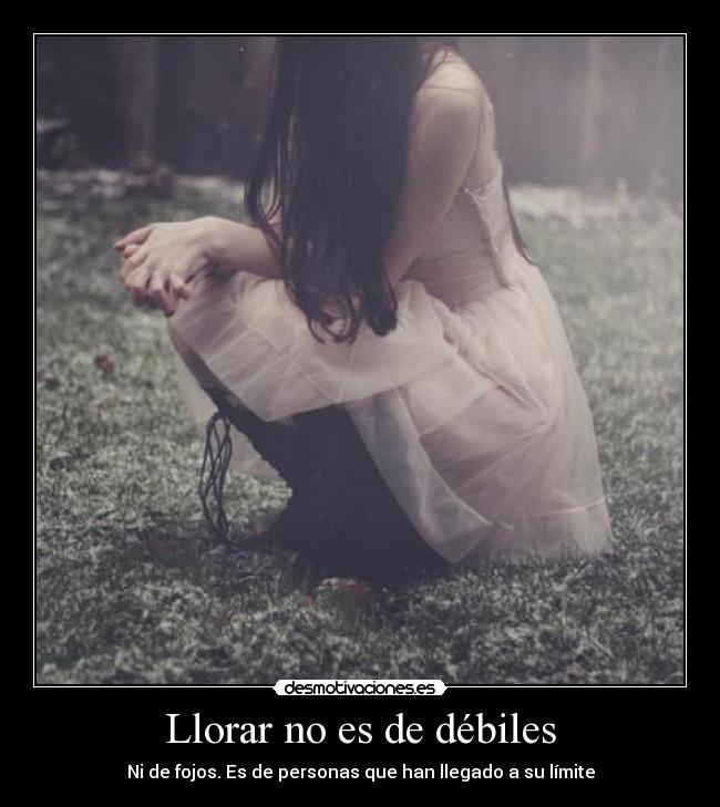 carteles llorar llorar desmotivaciones