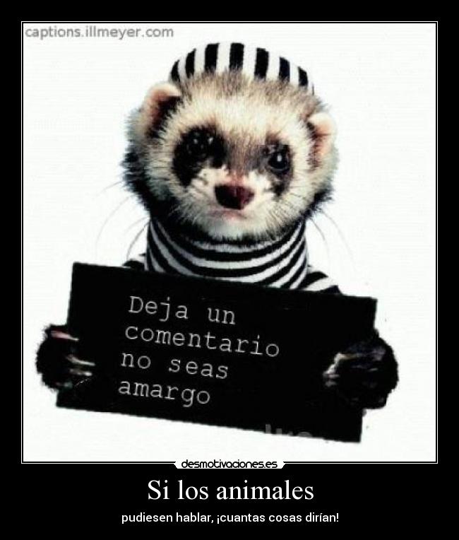 Si los animales -