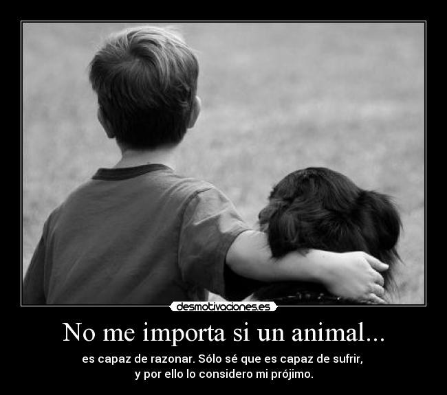 No me importa si un animal... - es capaz de razonar. Sólo sé que es capaz de sufrir, 
y por ello lo considero mi prójimo.