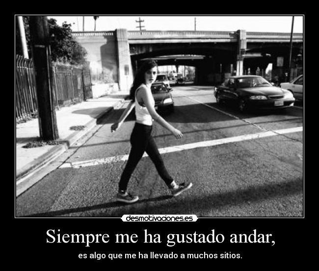 carteles chorradita del peneeeeeee vaginas para todos desmotivaciones