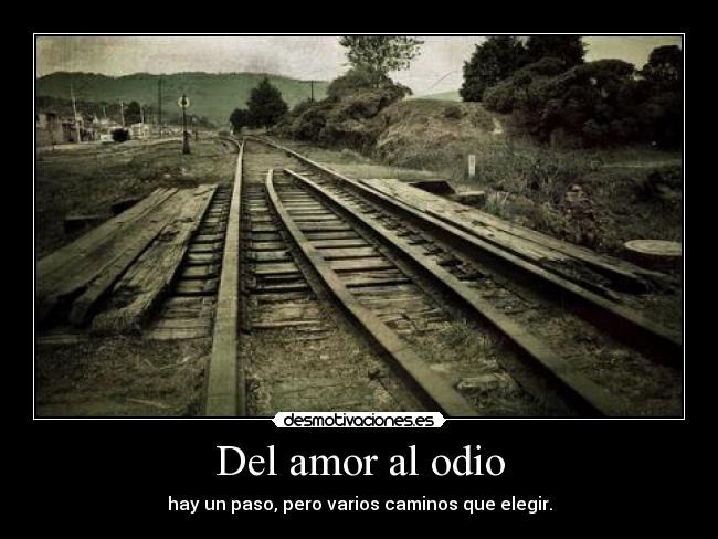 carteles amor odio onlyloveme desmotivaciones