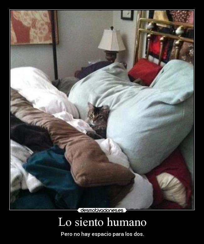 Lo siento humano - Pero no hay espacio para los dos.