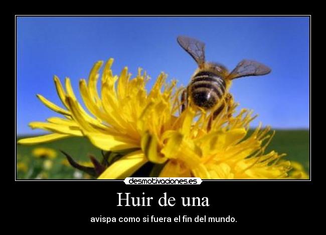 Huir de una - avispa como si fuera el fin del mundo.