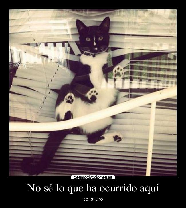 No sé lo que ha ocurrido aquí -