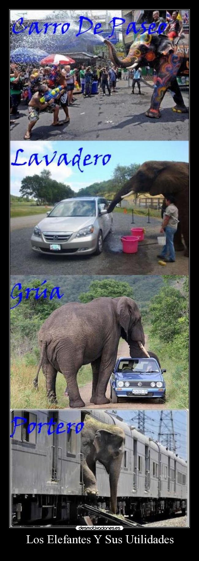 Los Elefantes Y Sus Utilidades -