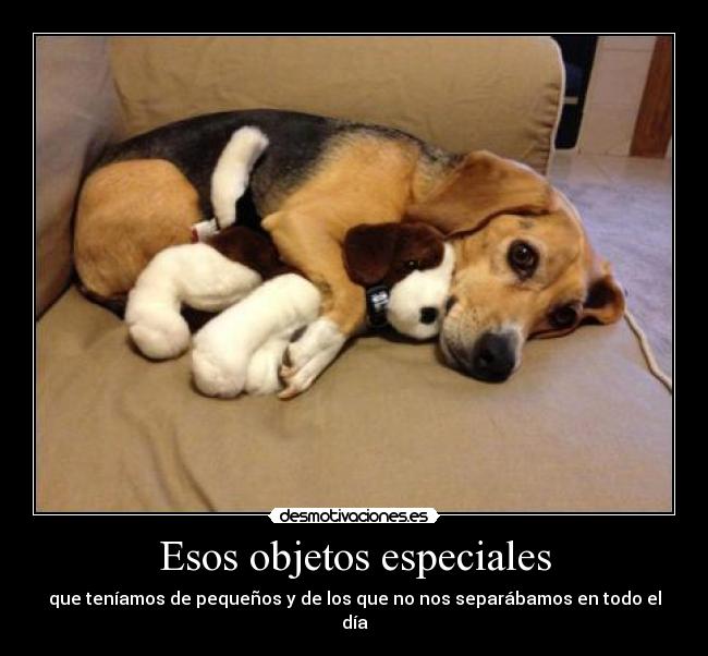 Esos objetos especiales - que teníamos de pequeños y de los que no nos separábamos en todo el día