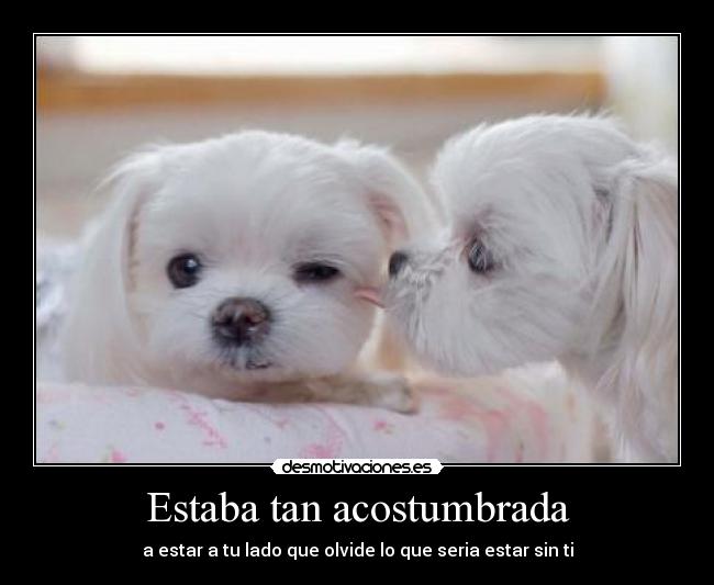 Estaba tan acostumbrada -