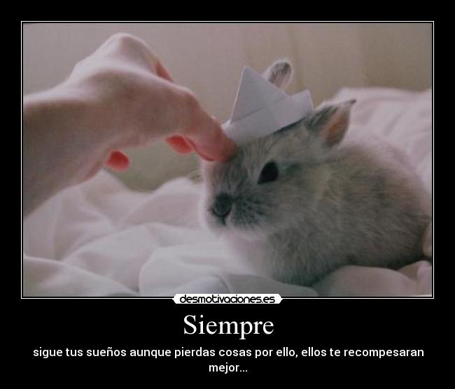 Siempre - sigue tus sueños aunque pierdas cosas por ello, ellos te recompesaran mejor...