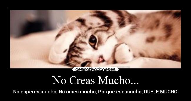 No Creas Mucho... - No esperes mucho, No ames mucho, Porque ese mucho, DUELE MUCHO.
