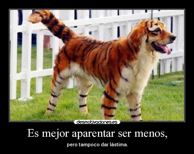 carteles tu mismo que bastante desmotivaciones