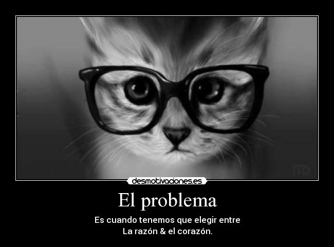 El problema -