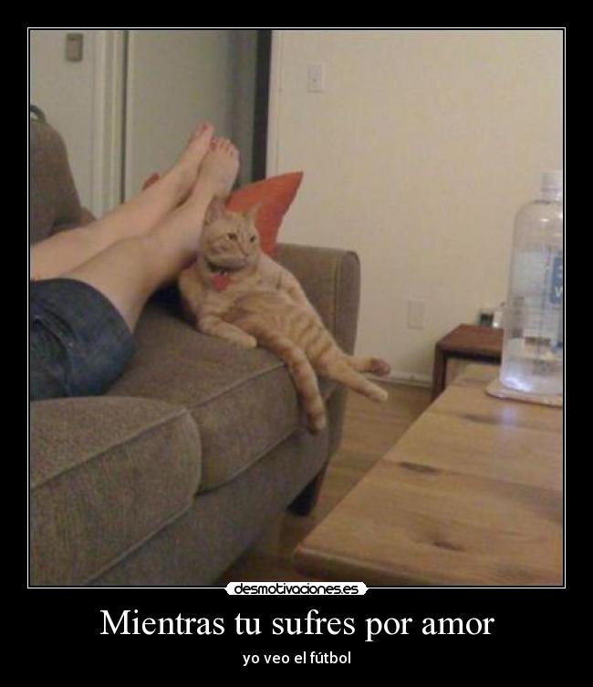 Mientras tu sufres por amor - yo veo el fútbol