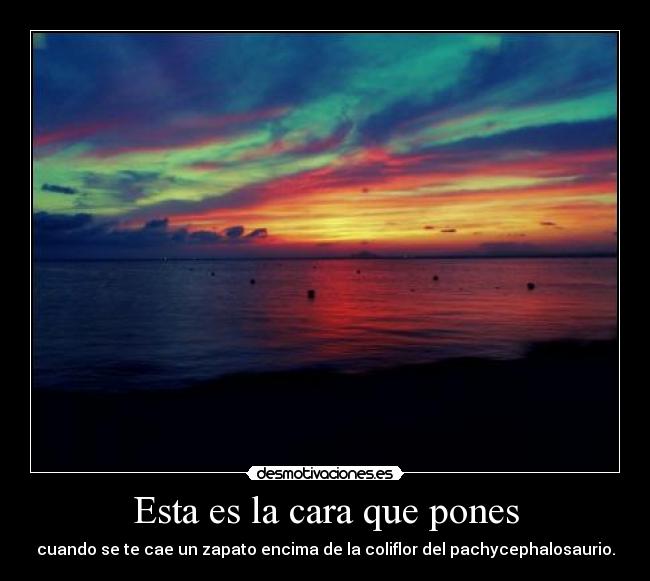 Esta es la cara que pones - cuando se te cae un zapato encima de la coliflor del pachycephalosaurio.