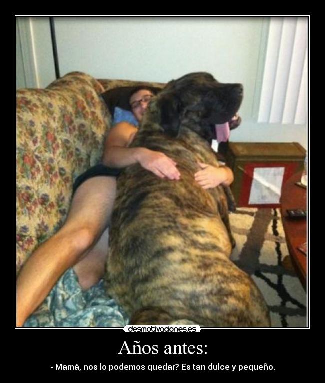 carteles jaa desmotivaciones