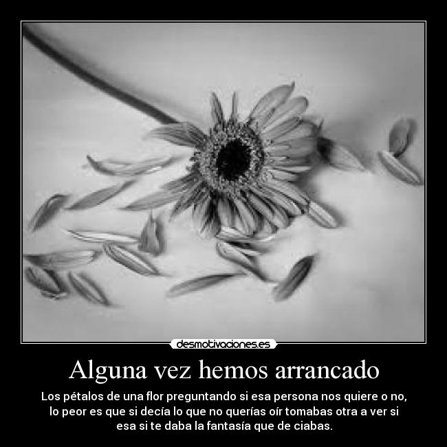 Alguna vez hemos arrancado -