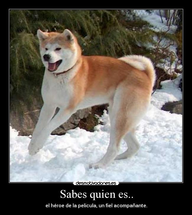 carteles  desmotivaciones