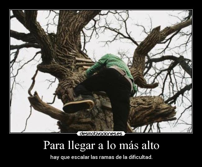 Para llegar a lo más alto - hay que escalar las ramas de la dificultad.