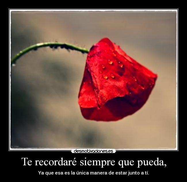 Te recordaré siempre que pueda, - Ya que esa es la única manera de estar junto a tí.