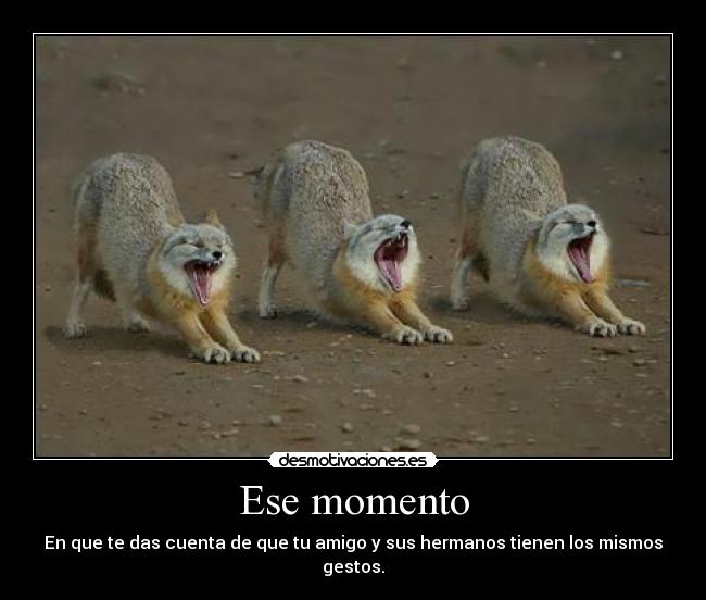 Ese momento - 