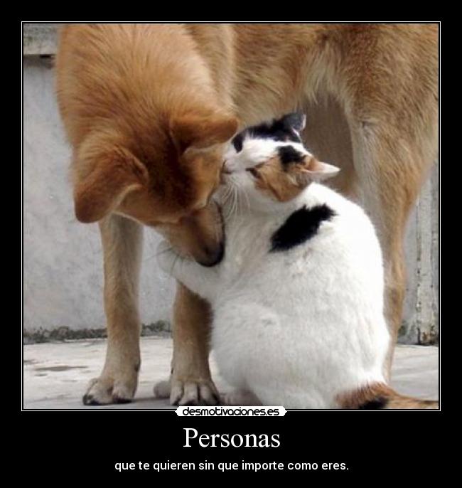 Personas - que te quieren sin que importe como eres.