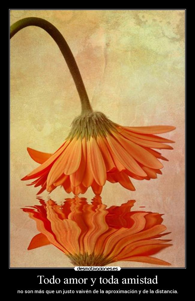 Todo amor y toda amistad -