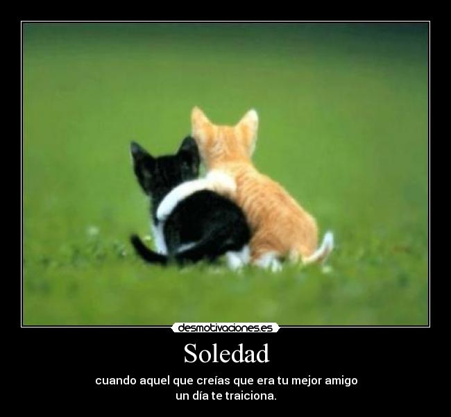 Soledad - cuando aquel que creías que era tu mejor amigo
un día te traiciona.