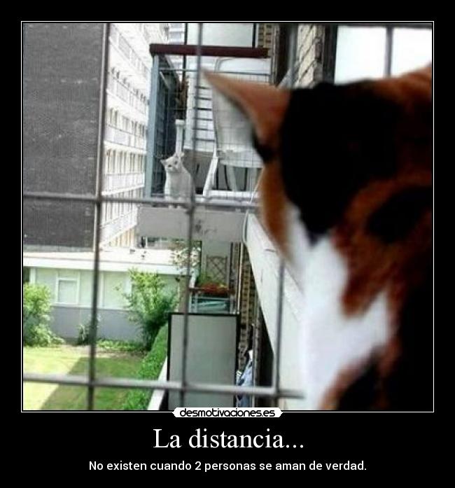 La distancia... -