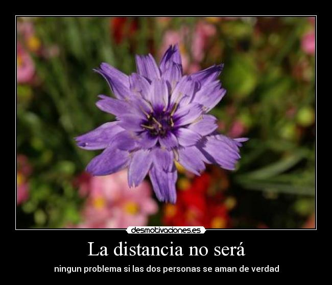 La distancia no será - ningun problema si las dos personas se aman de verdad