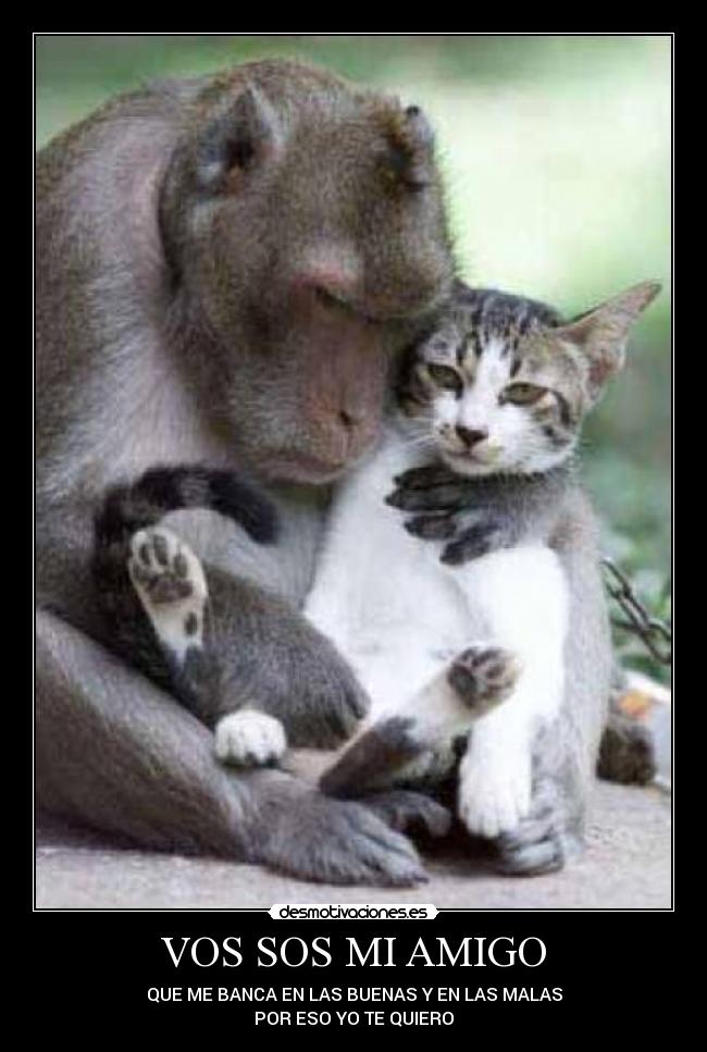 VOS SOS MI AMIGO - QUE ME BANCA EN LAS BUENAS Y EN LAS MALAS
POR ESO YO TE QUIERO
