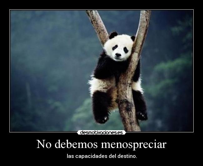 No debemos menospreciar -