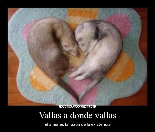 Vallas a donde vallas - el amor es la razón de la existencia