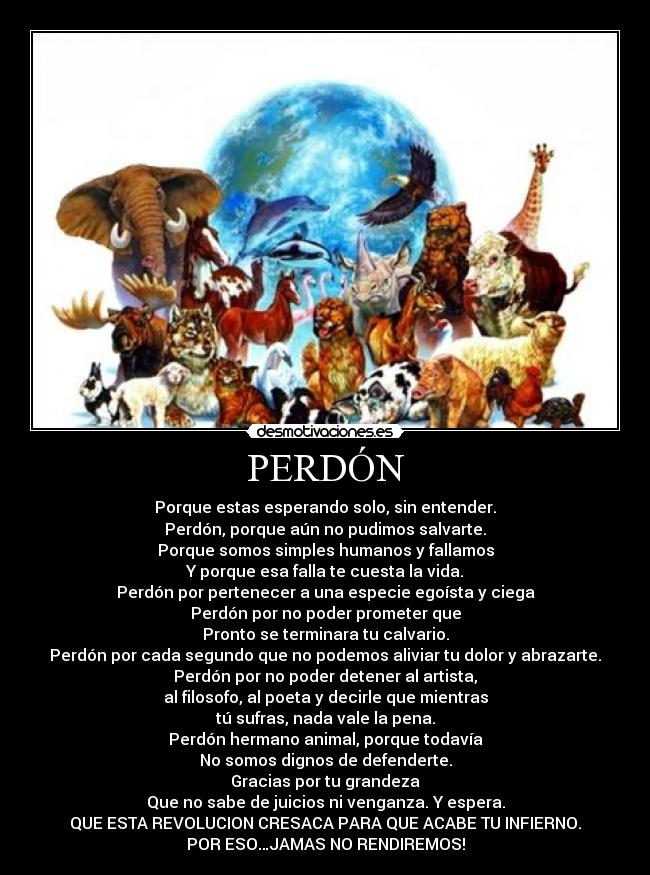 PERDÓN - Porque estas esperando solo, sin entender.
Perdón, porque aún no pudimos salvarte.
Porque somos simples humanos y fallamos
Y porque esa falla te cuesta la vida.
Perdón por pertenecer a una especie egoísta y ciega
Perdón por no poder prometer que
Pronto se terminara tu calvario.
Perdón por cada segundo que no podemos aliviar tu dolor y abrazarte.
Perdón por no poder detener al artista,
al filosofo, al poeta y decirle que mientras
tú sufras, nada vale la pena.
Perdón hermano animal, porque todavía
No somos dignos de defenderte.
Gracias por tu grandeza
Que no sabe de juicios ni venganza. Y espera.
QUE ESTA REVOLUCION CRESACA PARA QUE ACABE TU INFIERNO.
POR ESO…JAMAS NO RENDIREMOS!