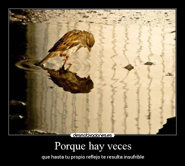 Porque hay veces - que hasta tu propio reflejo te resulta insufrible