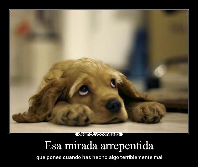 Esa mirada arrepentida -