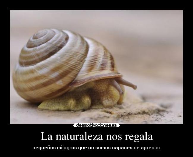 La naturaleza nos regala -