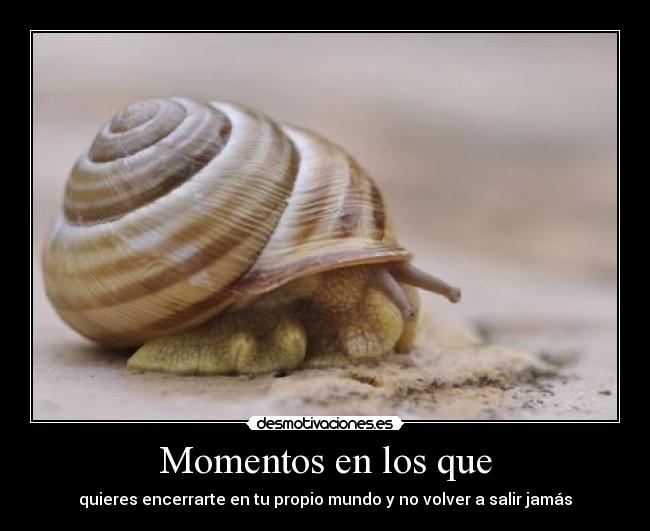 Momentos en los que - quieres encerrarte en tu propio mundo y no volver a salir jamás