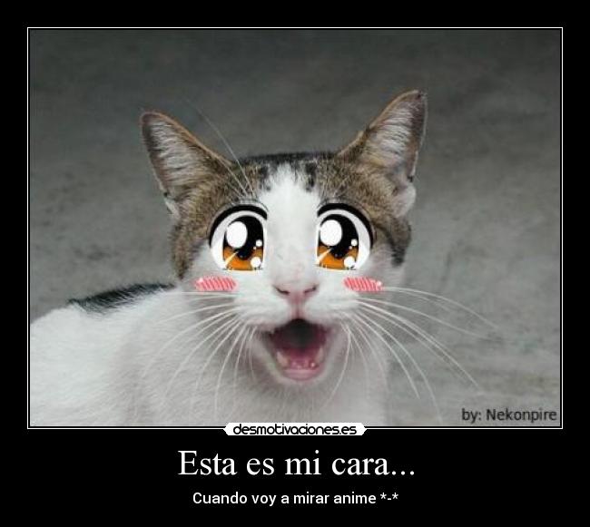 Esta es mi cara... -